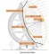 
						<br>
						Sviluppo dei gruppi meccanici di movimentaz. di un collettore solare parabolico<br>
						Lavoro di diploma - Meccanica - 2010<br>
						Docente resp.: Matteo Mozzini<br>
						Mandante: Airlight Energy Manufacturing SA, Biasca

						<br><br><br><br><br>
						Abstract:<br>
						Commissionato dalla Airlightenergy di Biasca, il lavoro di diploma è finalizzato allo sviluppo dei gruppi meccanici di movimentazione di un collettore solare parabolico di 216 m di lunghezza, 11 m di altezza e del peso complessivo di 1’300 tonnellate. Il collettore è composto da 13 moduli, ciascuno con una struttura in calcestruzzo, una parabola con pellicola riflettente e un receiver nel quale viene scaldato un fluido, utilizzato successivamente in una turbina a vapore per generare energia pulita. Per garantire un rendimento ottimale del sistema, il collettore deve poter ruotare attorno al suo asse longitudinale, permettendo con ciò l’inseguimento della posizione del sole nel corso della giornata. Inoltre, l’ancoraggio a terra del collettore deve essere antisismico e permettere le dilatazioni dovute alle escursioni termiche esistenti tra il giorno e la notte.
						